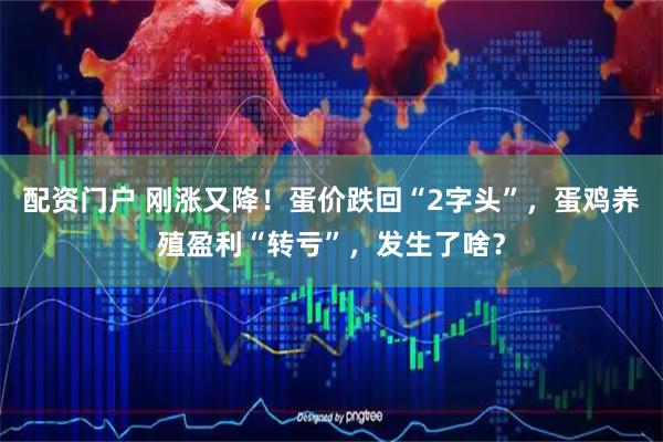 配资门户 刚涨又降！蛋价跌回“2字头”，蛋鸡养殖盈利“转亏”，发生了啥？